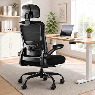 Ergonomic Office Chair for Long Hours, Adjustable Padded Lumbar Support for Lower Back Relief, 330 lb Capacity, Comfortable Computer Desk Chair for Home Office, Work &amp; Study