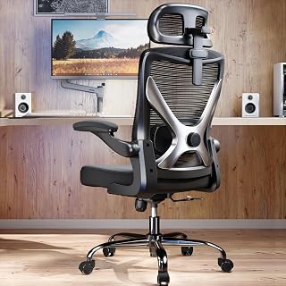 Black Ergonomic Office Chair: Mesh Desk Chair Comfy with Headrest&amp; Lumbar
